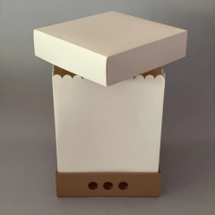 Mini Pack x 2 u DRIP BOX 32 TAPA CARTULINA sin visor (25x25x32 cm) - comprar online