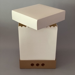 MINI PACK x 2 unidades MID BOX 32 TAPA CARTULINA BLANCA sin visor (30x30x32 cm) - Nuevo !