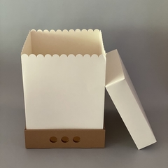 MINI PACK x 2 unidades MID BOX 32 TAPA CARTULINA BLANCA sin visor (30x30x32 cm) - Nuevo ! - wincopack