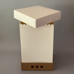 MINI PACK x 2 unidades DRIP BOX 40 TAPA CARTULINA BLANCA sin visor (25x25x40 cm) - Nuevo !