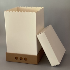 MINI PACK x 2 unidades DRIP BOX 40 TAPA CARTULINA BLANCA sin visor (25x25x40 cm) - Nuevo ! - wincopack