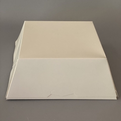 PACK x 2 u FL-SIN VISOR LARGE (22x22x8 cm) TARTAS/TORTAS/DESAYUNOS (copia) - wincopack