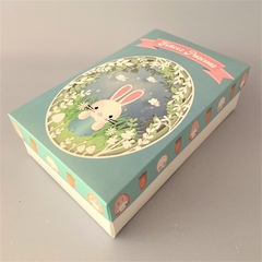Mini Pack CAJA PASCUAS sin zocalo - Pack x 2 u PASCUAS 02 - OPEN M sin zócalo : Caja apertura SORPRESA PASCUAS GOURMET en internet