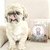 Contenedor multiusos Pawsitive Outlet en internet