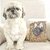 Contenedor multiusos BullDog Outlet