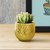 Maceta Glam Plateado o Dorado ideal Plantas y Velas