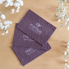 Cartão de visitas plantável - Papel Semente - 9x5cm - comprar online