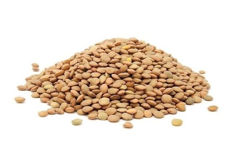 Lentejas especiales. 500 gr.