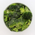 Brocoli Congelado. Gergal. 1 Kg