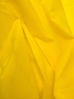 Friselina 50gr - Amarillo