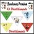 BANDANA DIVERTIDAMENTE C/20