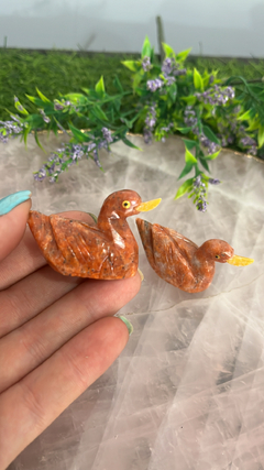 Mini pato dolomita laranja