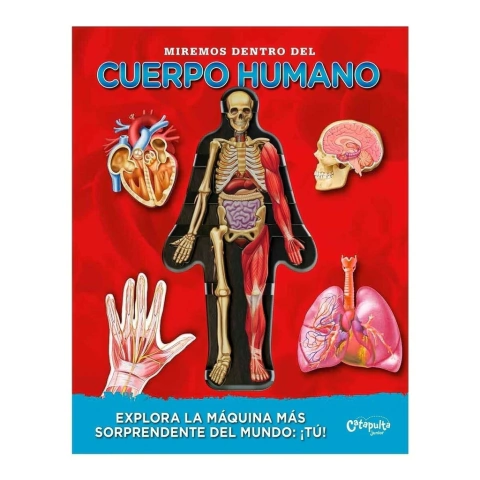 Miremos dentro del cuerpo humano