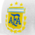 Gorra Plana Messi 10 AFA Escudo Qatar 2022 Mundial Argentina - tienda online