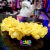 Imagen de VINCHA FLOR TELA X1