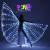 ALAS LED GRANDE 210 LUCES 145X300CM