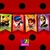 BANDERIN GUIRNALDA MIRACULOUS X1