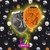 GLOBO PREMIUM NARUTO X6
