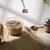 KIT POTE CRISTAL 100ML ST760 X10 - comprar online