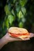 sandwich arabe de queso y tomate sin tacc