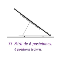 TABLERO PIZZINI 50 x 60cm CON VALIJA /6 POSICIONES - Casa juana libreria 