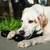 KONG GOODIE BONE LARGE EXTREME en internet