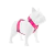PRETAL H CROMA MAGENTA - comprar online