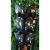 MOCHILA DE PASEO - comprar online
