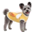 BUZO CONEJO en internet