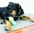 KONG CORE STRENGHT BOW TIE MEDIUM/LARGE - Wow! Boutique de Mascotas