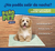 PAÑO PET MINI 45 X 55 POR 10 UNIDADES - comprar online