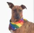 BANDANA PRIDE