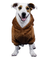 BUZO TEDDY - Wow! Boutique de Mascotas