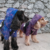 CAMPERA THE NORTH DOG