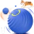 PELOTA INTELIGENTE BOUNCING BALL