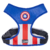 ARNES CAPITAN AMERICA