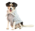 BUZO PRINCIPITO - Wow! Boutique de Mascotas