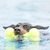 KONG AIRDOG BONE LARGE - comprar online