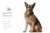 SIEGER ULTRA OSTEOARTICULAR - comprar online