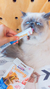 CATIT CREAMY - SALMÓN en internet