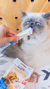 CATIT CREAMY - ATUN en internet