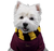 BUZO HARRYC BORDO en internet