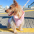CHALECO MACINTOSH - Wow! Boutique de Mascotas