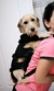 MOCHILA DE PASEO en internet