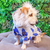 BUZO MOLLIE BLUE