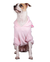 BUZO PEPPA - Wow! Boutique de Mascotas
