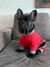 PIJAMA DOG ROJO - comprar online