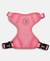 ARNES ROCKY ROSA