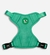 ARNES ROCKY VERDE