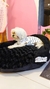 PEQUEÑO RETOÑO MOISES RUFI - TALLE L - tienda online